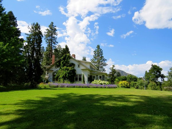 Quels sont les secrets pour réussir une soirée d'humour stand-up amateur dans votre jardin ?