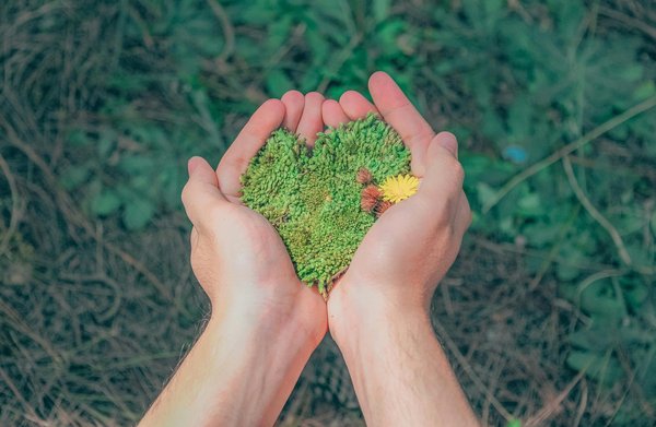 Quels projets de bricolage écologique peuvent être réalisés avec des enfants pour les sensibiliser à l'environnement ?